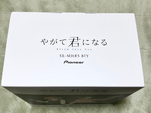 Pioneer Wired Headphones