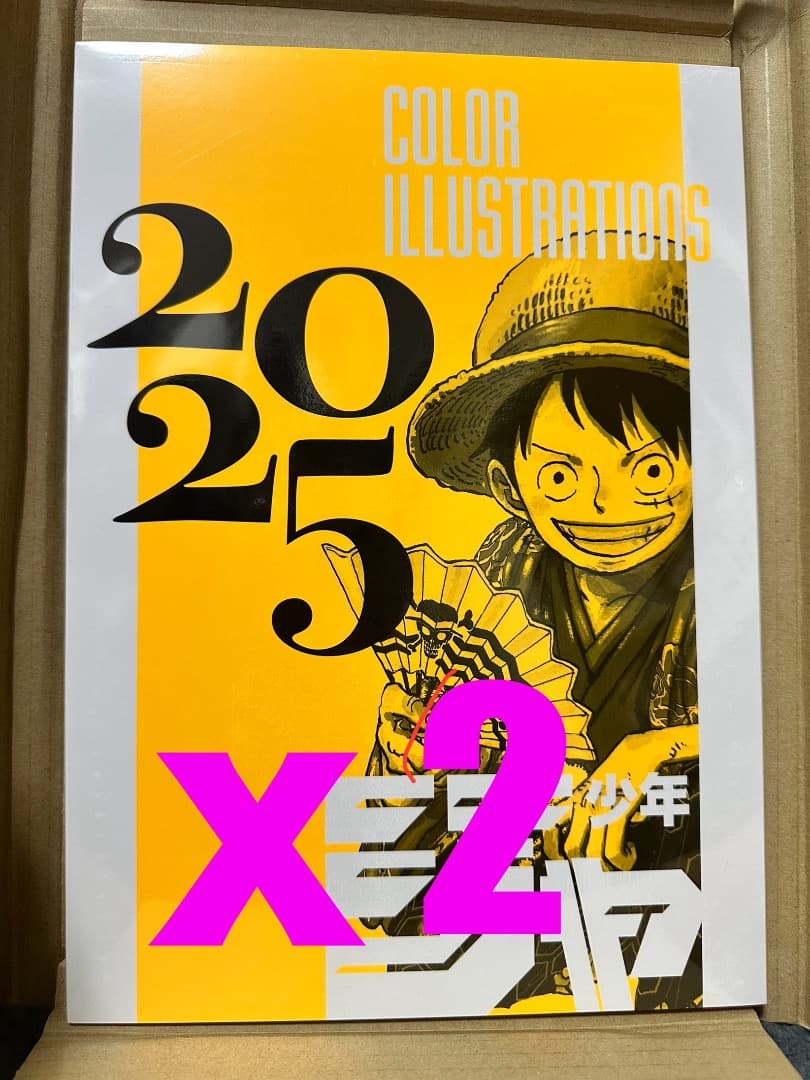 Illustration Collections 2025