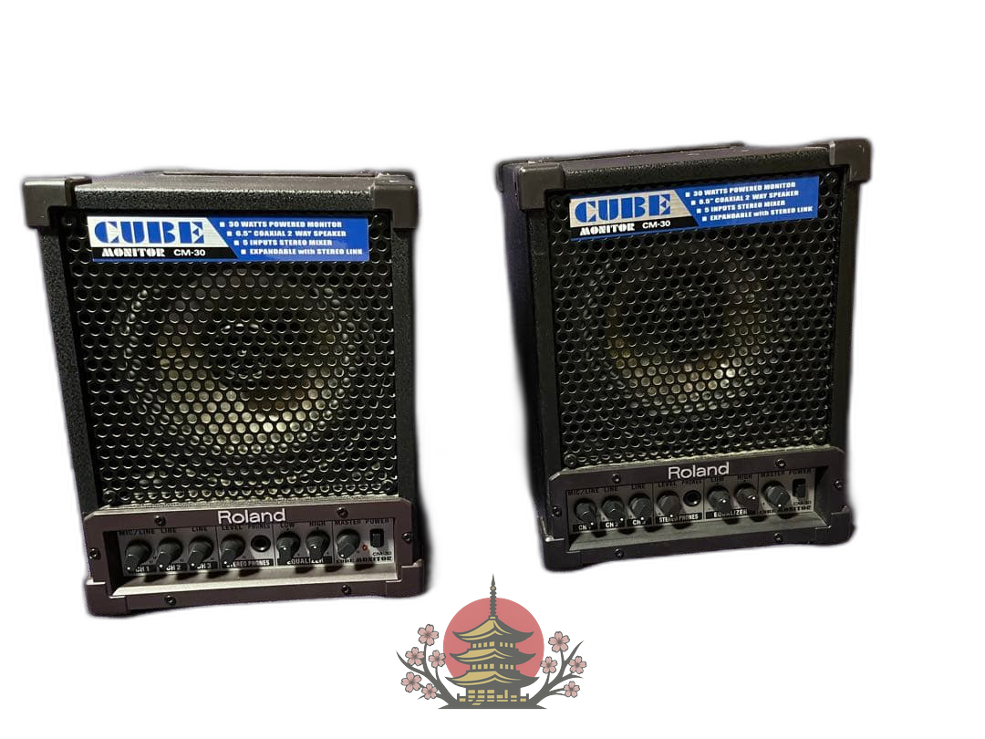 Guitar Amplifier Roland Cube Cm-30 2