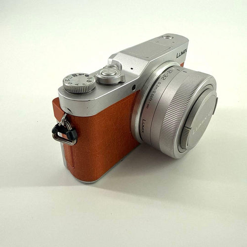 Panasonic Mirrorless Interchangeable Lens Cameras Lumix Dc-Gf9W