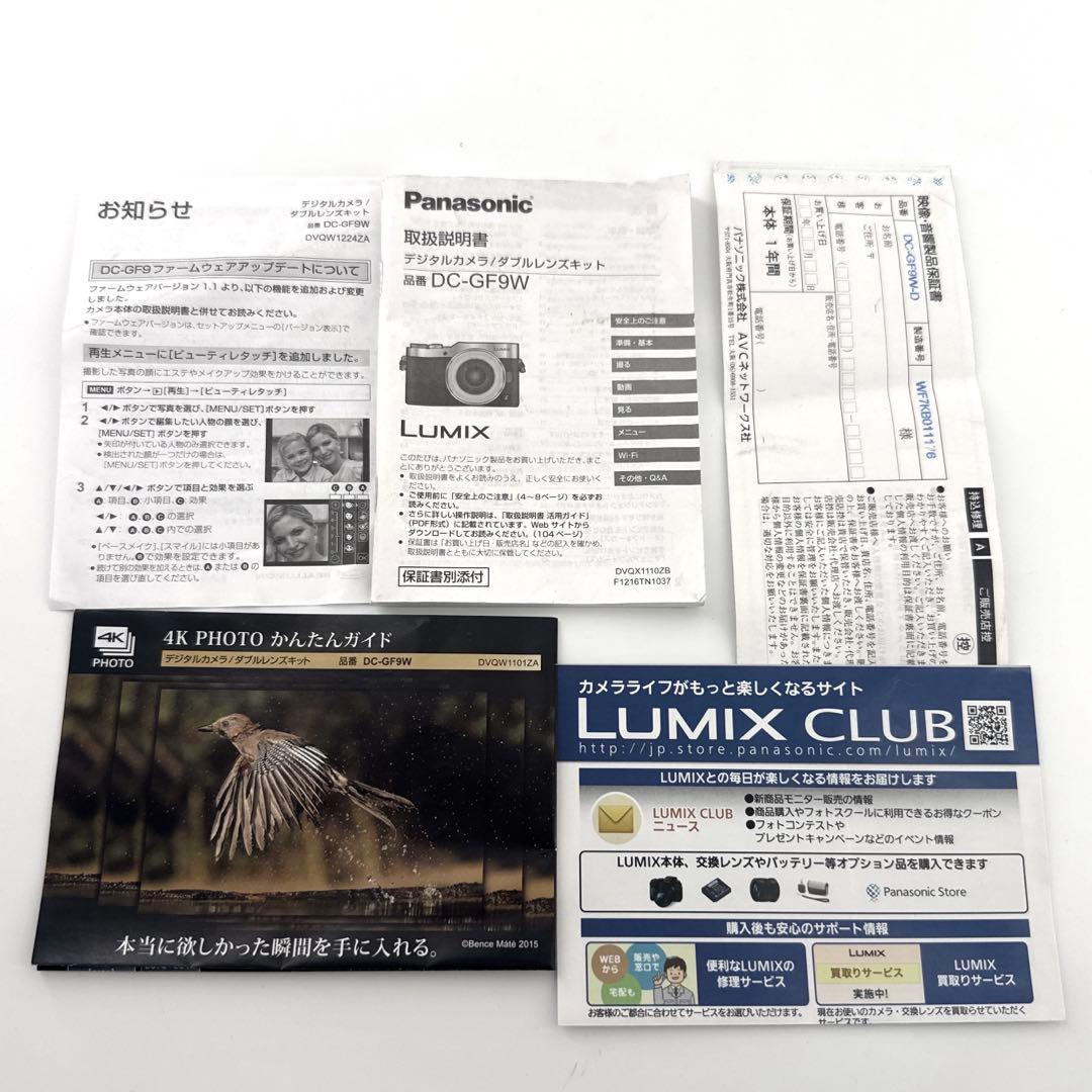 Panasonic Mirrorless Interchangeable Lens Cameras Lumix Dc-Gf9W