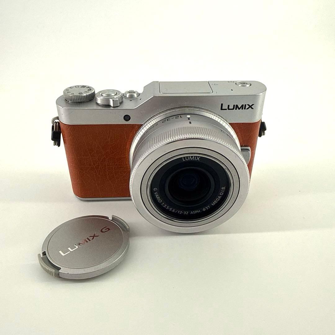 Panasonic Mirrorless Interchangeable Lens Cameras Lumix Dc-Gf9W
