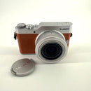 Panasonic Mirrorless Interchangeable Lens Cameras Lumix Dc-Gf9W