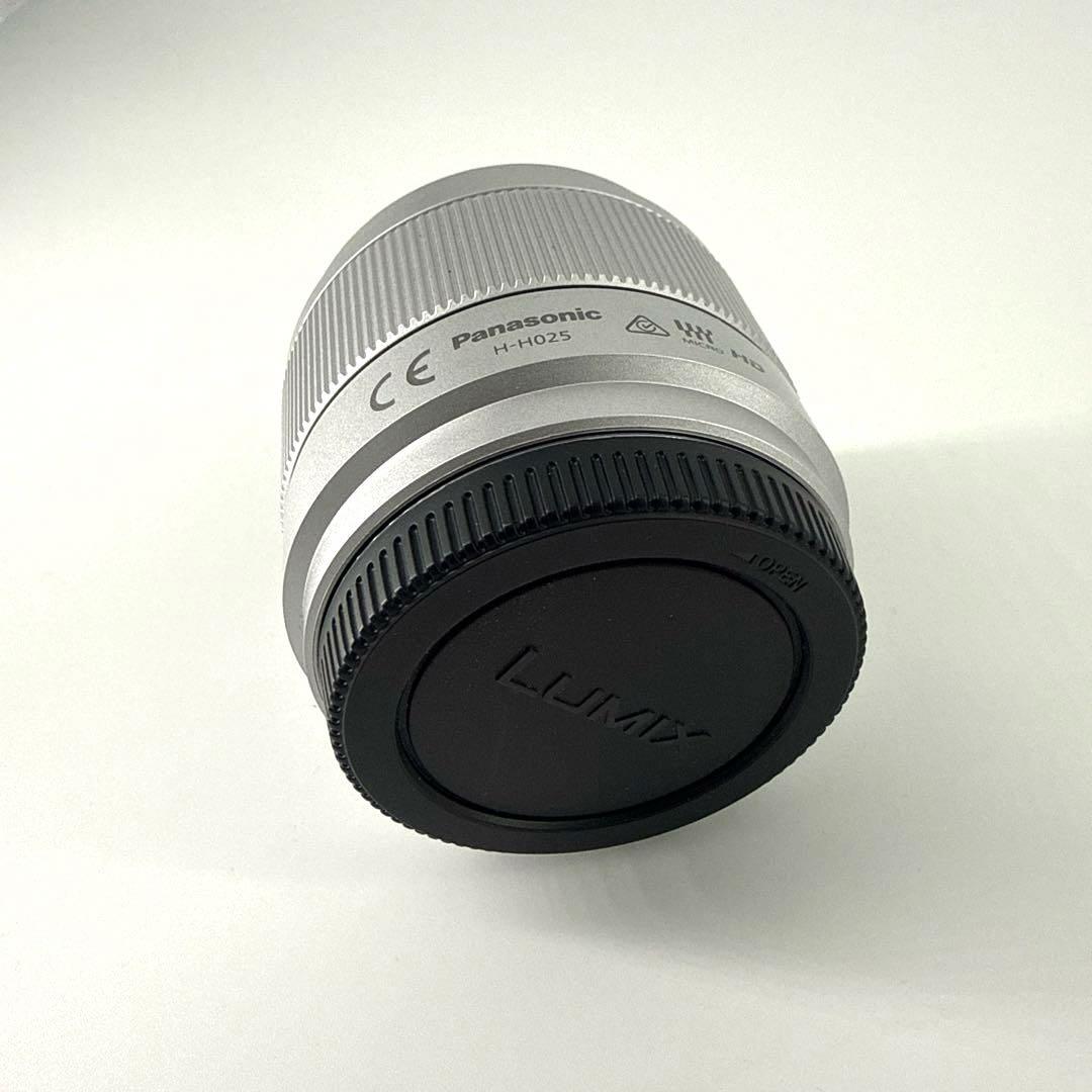 Panasonic Mirrorless Interchangeable Lens Cameras Lumix Dc-Gf9W