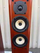 Onkyo Premium Amplifier D-207F