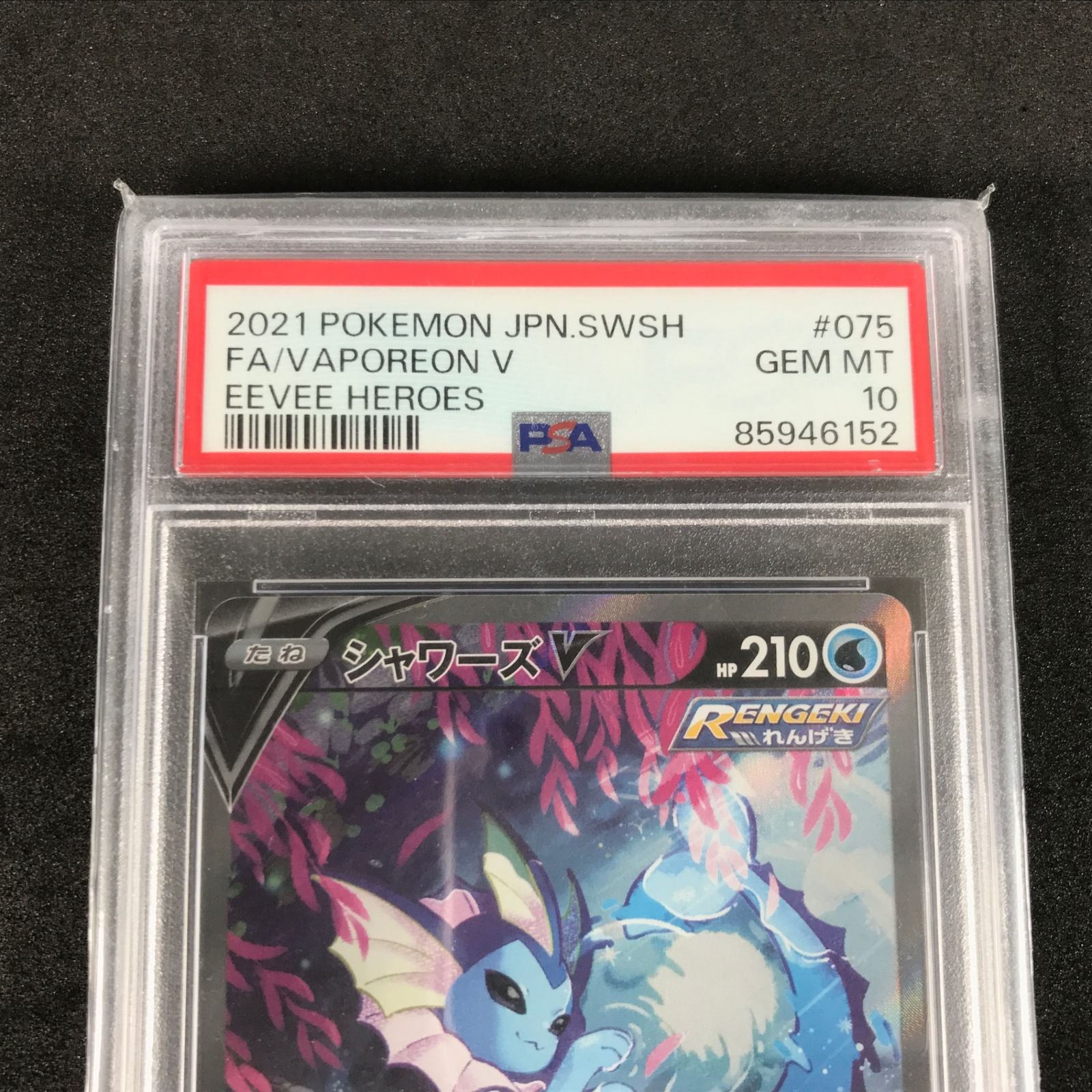 Pokemon Card Game 075/069/S6A/B V Sr Psa10