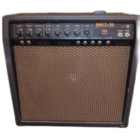 Guitar Amplifier Roland Bolt-30