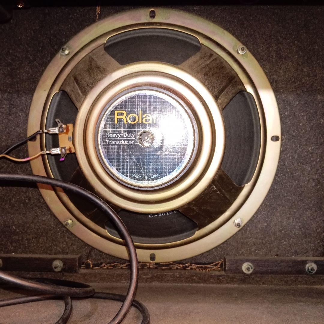 Guitar Amplifier Roland Bolt-30