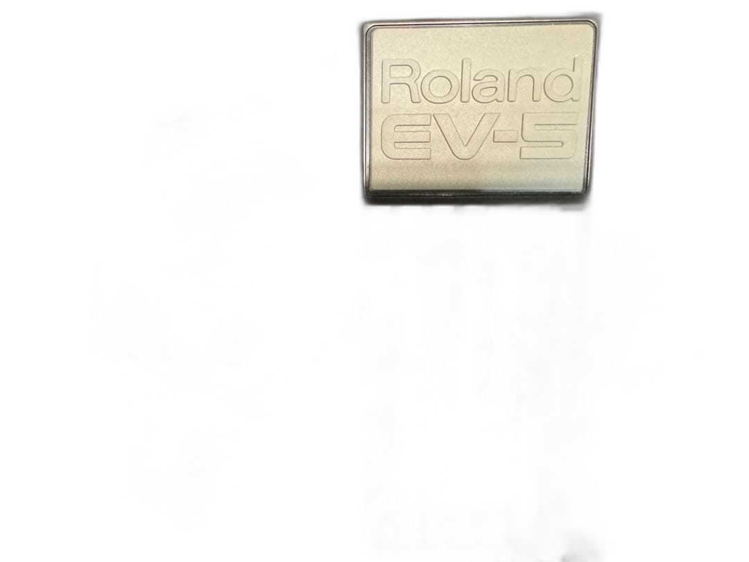 Roland Guitar Effector Ev-5