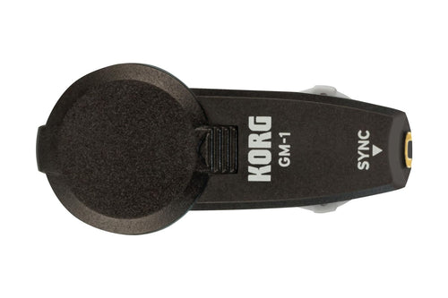 Others Korg 2 Gm-1 2Pcs