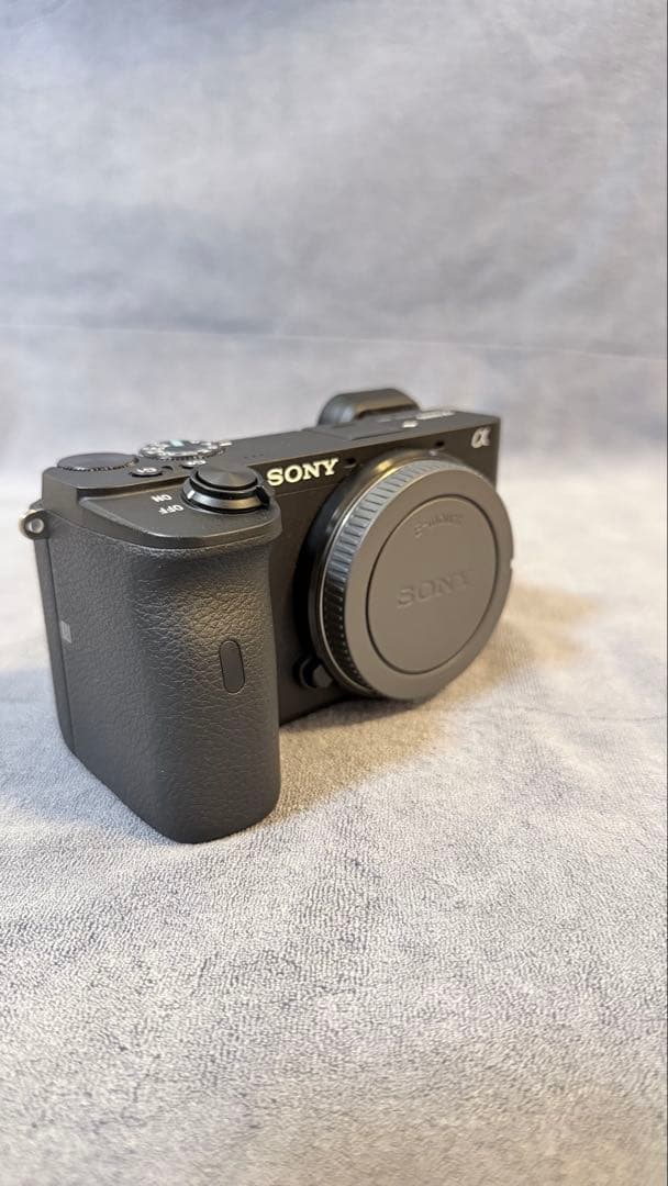 Sony Mirrorless Interchangeable Lens Cameras 6600 Ilce-6600
