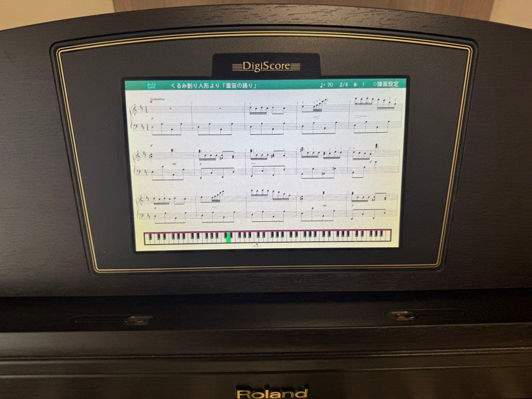 Roland Keyboard Electronic Piano Hpi-50