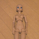 Dollfie Dolls Volks Dd Dds
