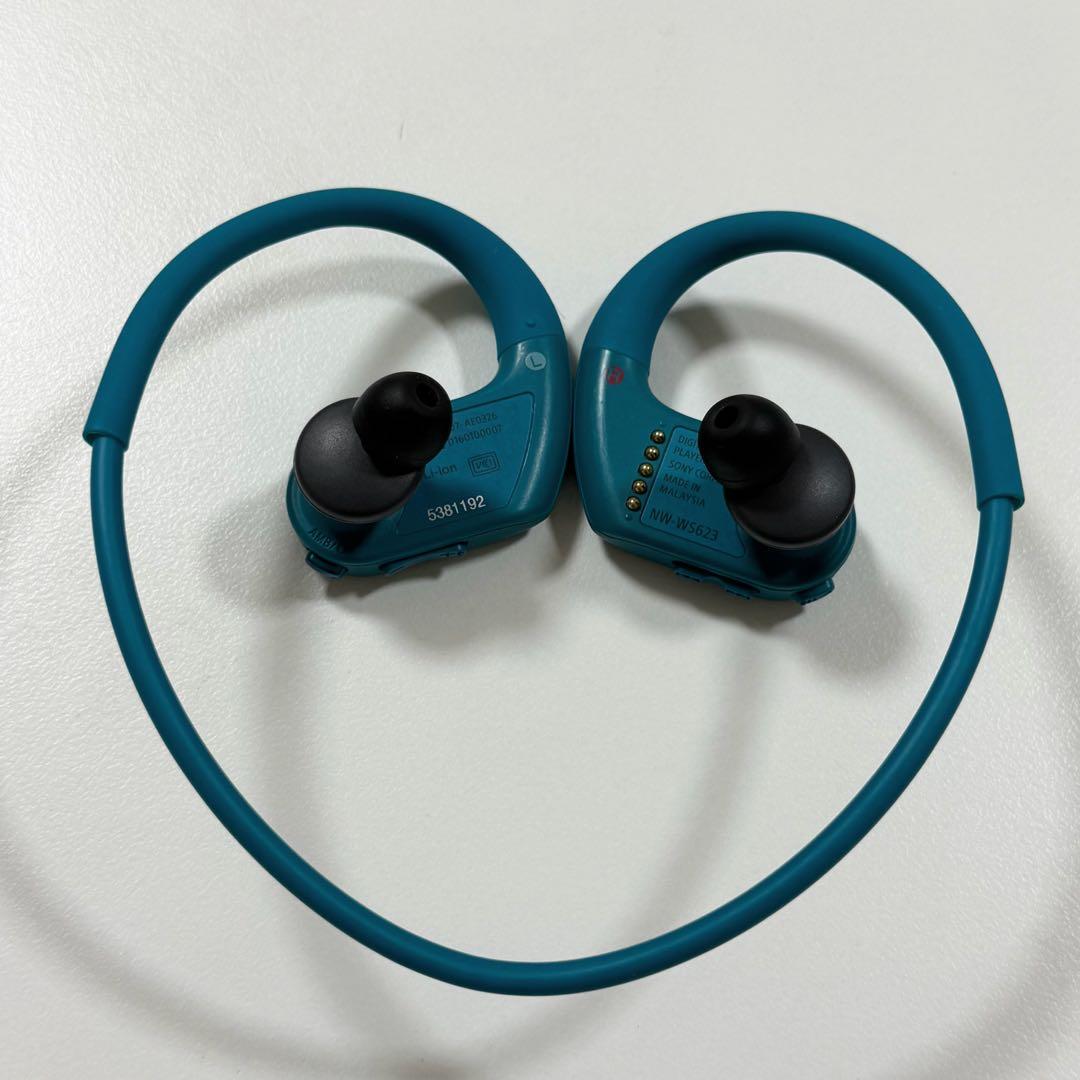Sony Wireless Earphones Walkman Nw-Ws623 4Gb