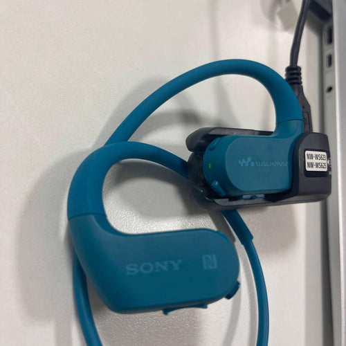 Sony Wireless Earphones Walkman Nw-Ws623 4Gb