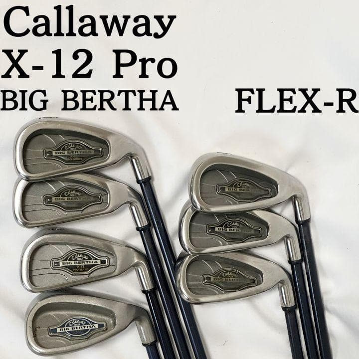 Callaway Golf Iron Set Big Bertha X-12 Pro Flex-R