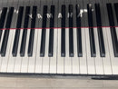 Yamaha Keyboards Digital Pianos 90010 N1X 20