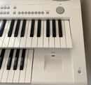 Yamaha Other Elb-02