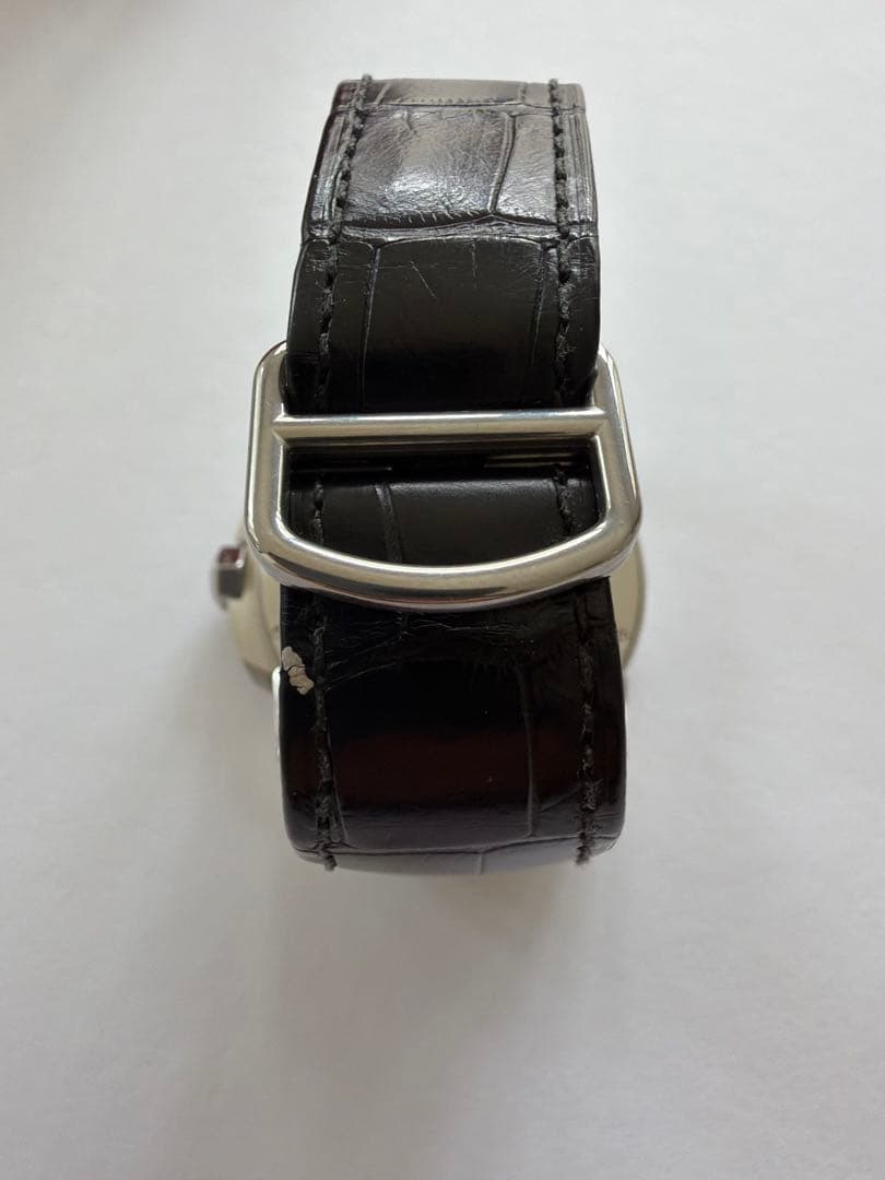 Cartier Automatic Watches W7100037