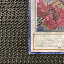 Yu-Gi-Oh! Ocg Duel Monsters (Japanese) Csoc-Jp039
