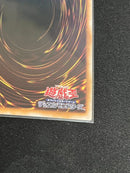 Yu-Gi-Oh! Ocg Duel Monsters (Japanese)