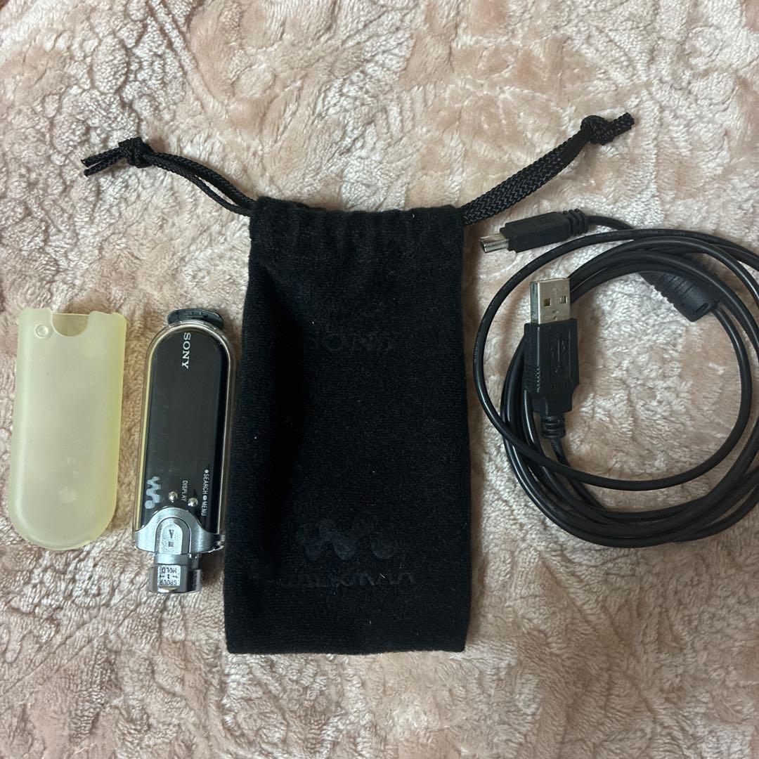 Sony Digital Audio Player Nw-E407