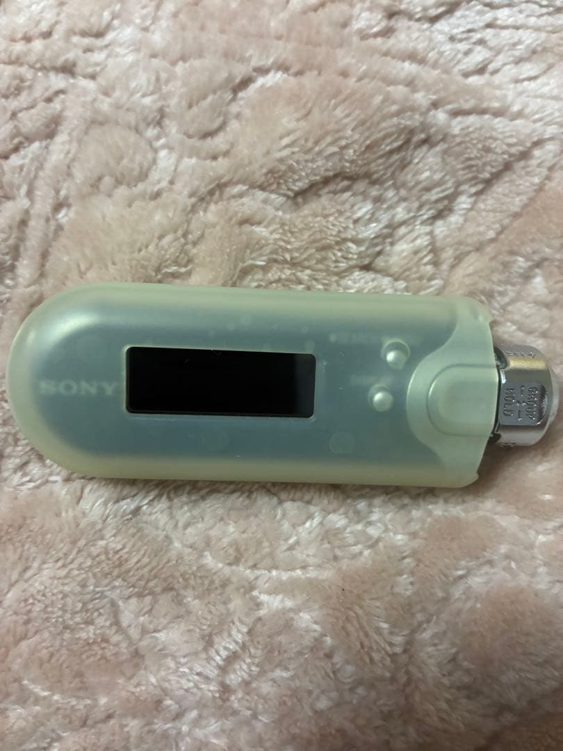 Sony Digital Audio Player Nw-E407