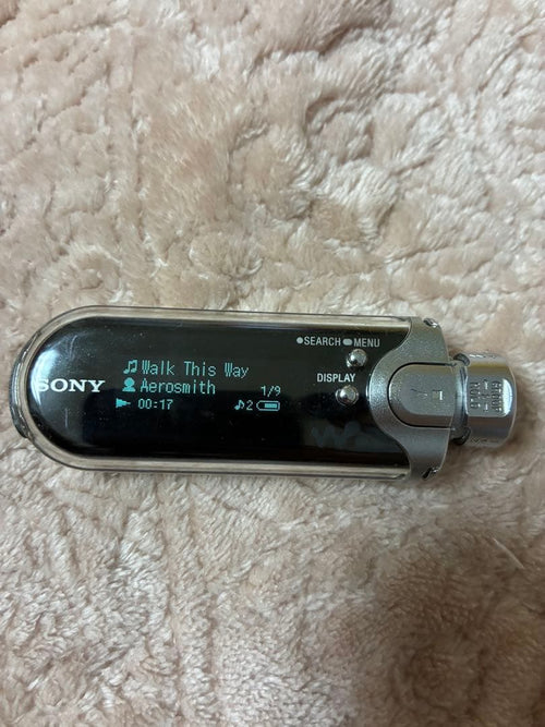 Sony Digital Audio Player Nw-E407