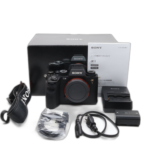 Sony Mirrorless Interchangeable Lips 1 Ilce-1 E