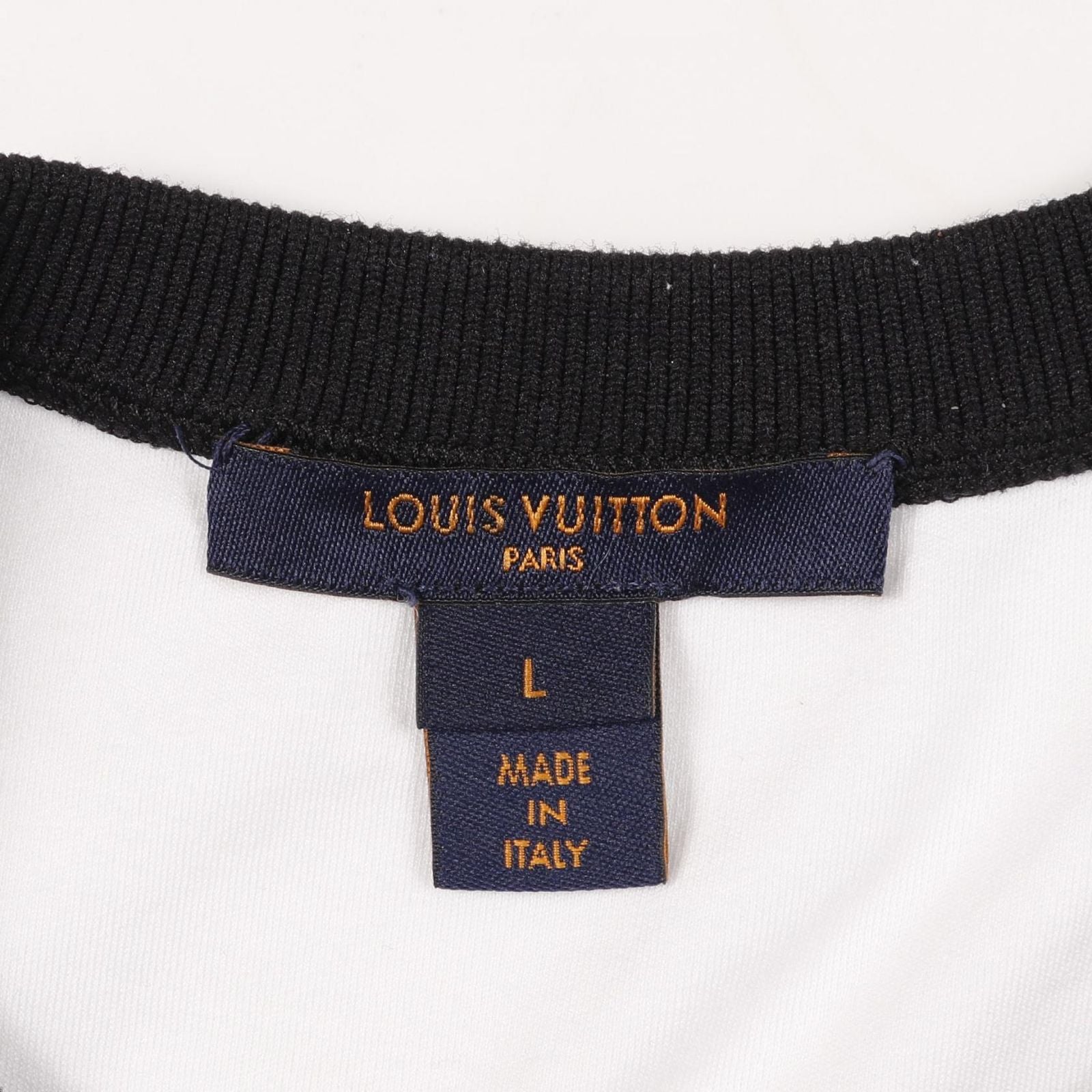 Louis Vuitton Long Sleeve Rw211B Ej7 Fktb98 T