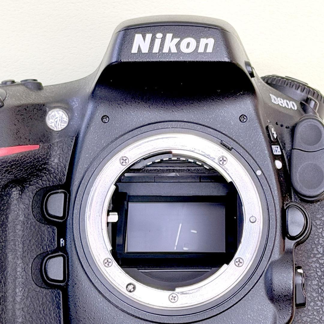 Nikon Digital Slrs D800
