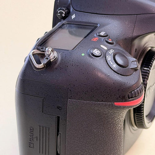 Nikon Digital Slrs D800