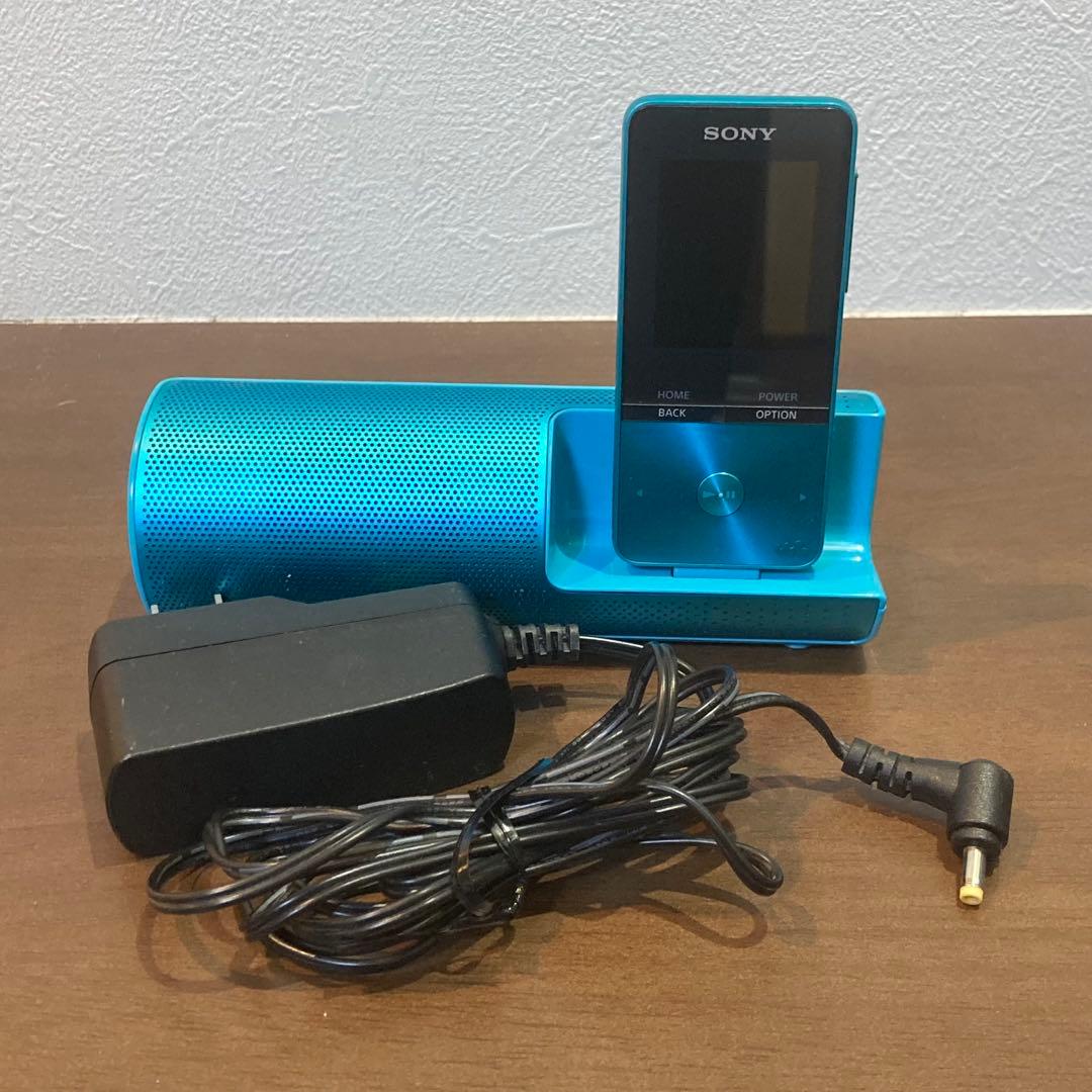 Sony Digital Audio Player Walkman Nw-S313