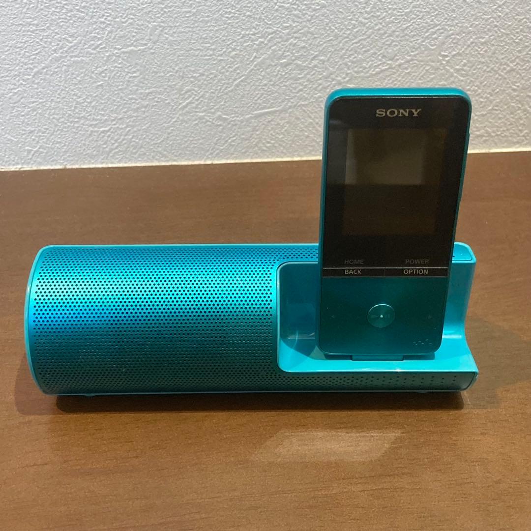Sony Digital Audio Player Walkman Nw-S313