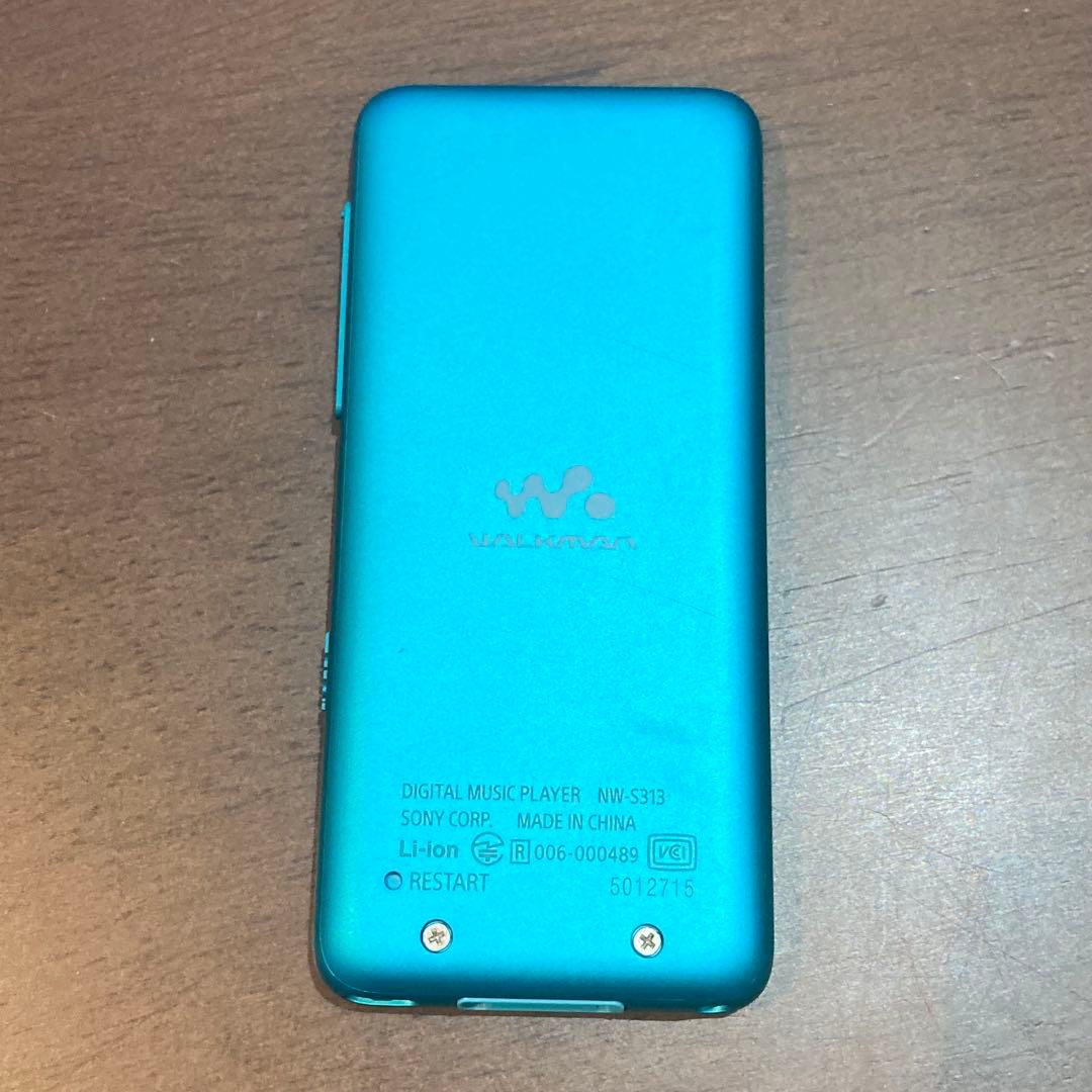 Sony Digital Audio Player Walkman Nw-S313