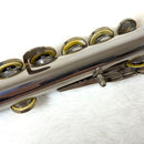 Yamaha Flutes Yfl-23