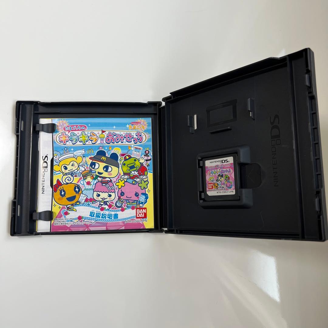 Nintendo Ds Software (Package Version)