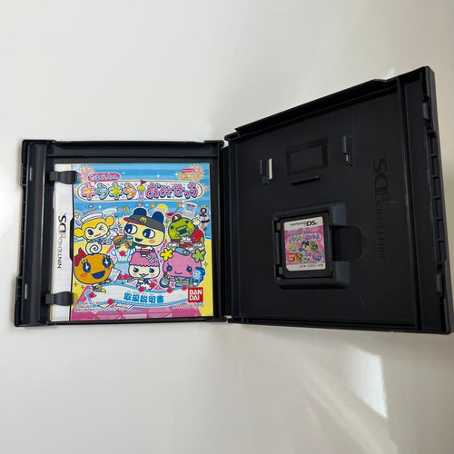 Nintendo Ds Software (Package Version)