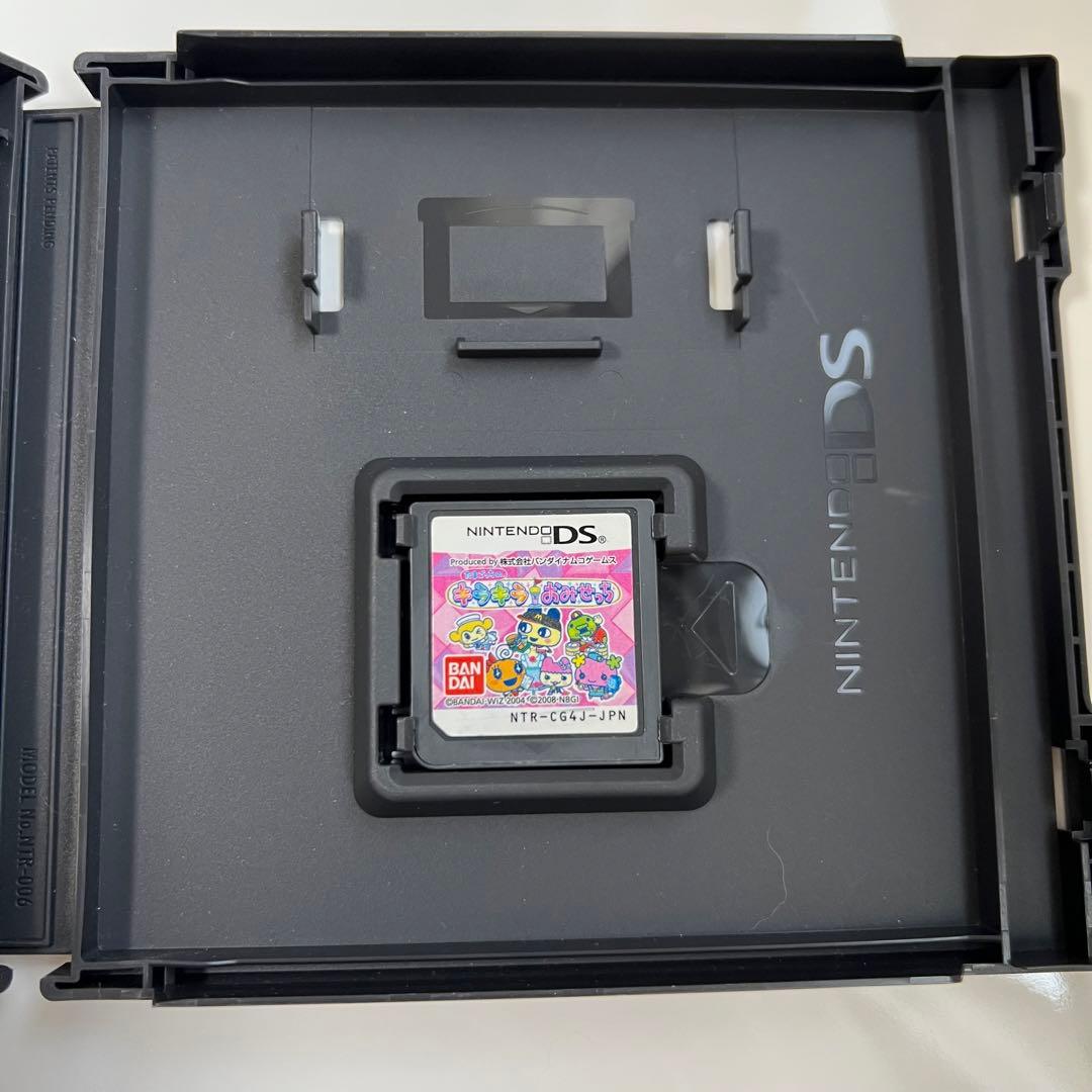 Nintendo Ds Software (Package Version)