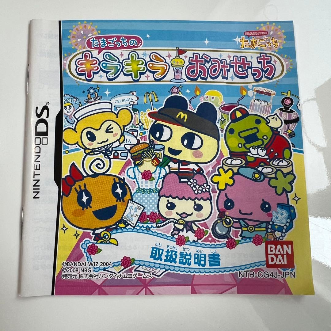 Nintendo Ds Software (Package Version)