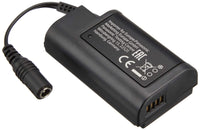 Others (Panasonic) Dmw-Dcc16 Dc S1