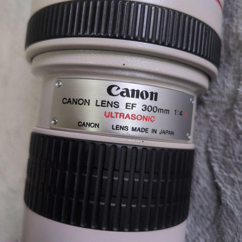 Canon Zoom Lenses Ef F/4L Usm