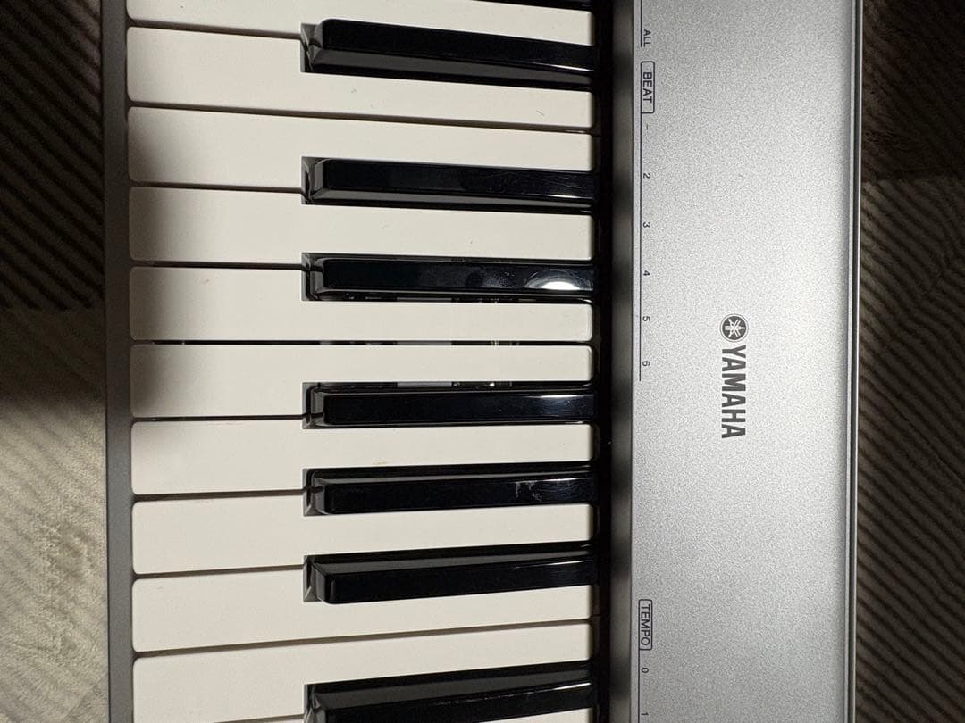 Yamaha Keyboards Digital Pianos Np-30 76