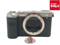 Mirrorless Interchangeable Lips 7C [Ilce-7C S]
