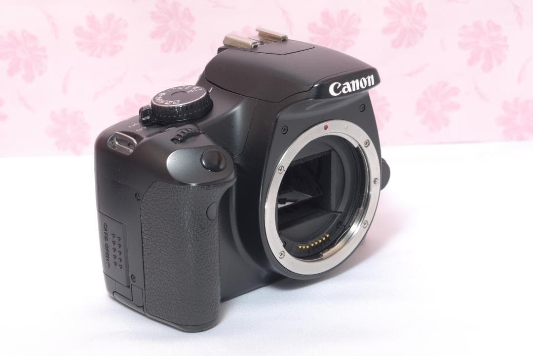 Canon Digital Slrs Kiss X2
