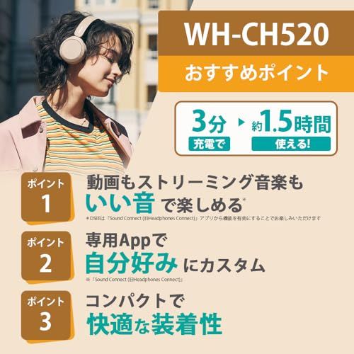 Others (Sony) Wh-Ch520 Bluetooth 147G 50 3 1.5