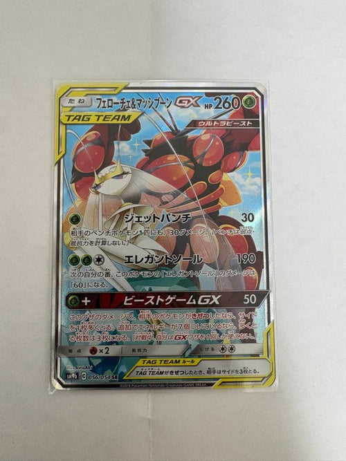 Pok Mon Tcg Trading Card Game Gx Sr Sm9B