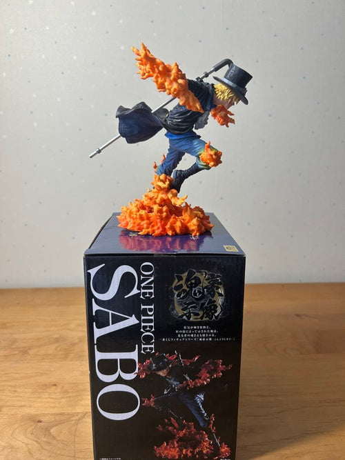 One Piece Ex