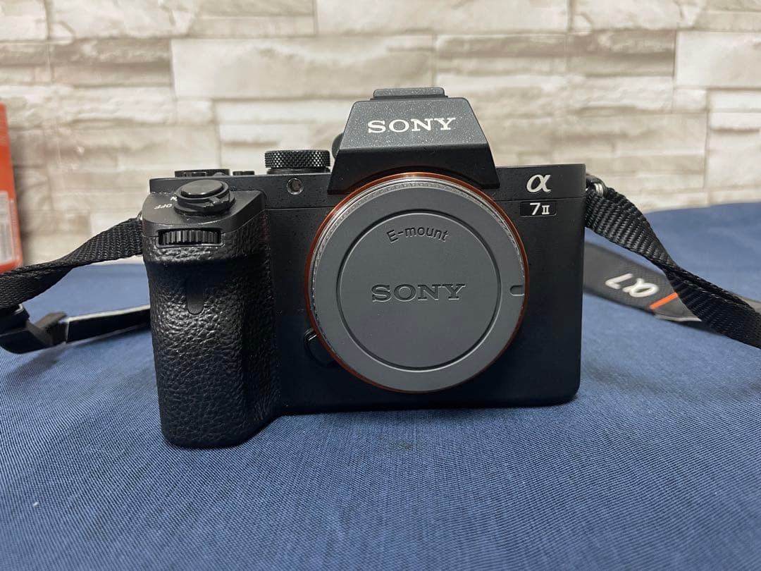 Sony Mirrorless Interchangeable Lens Cameras 7 Ii