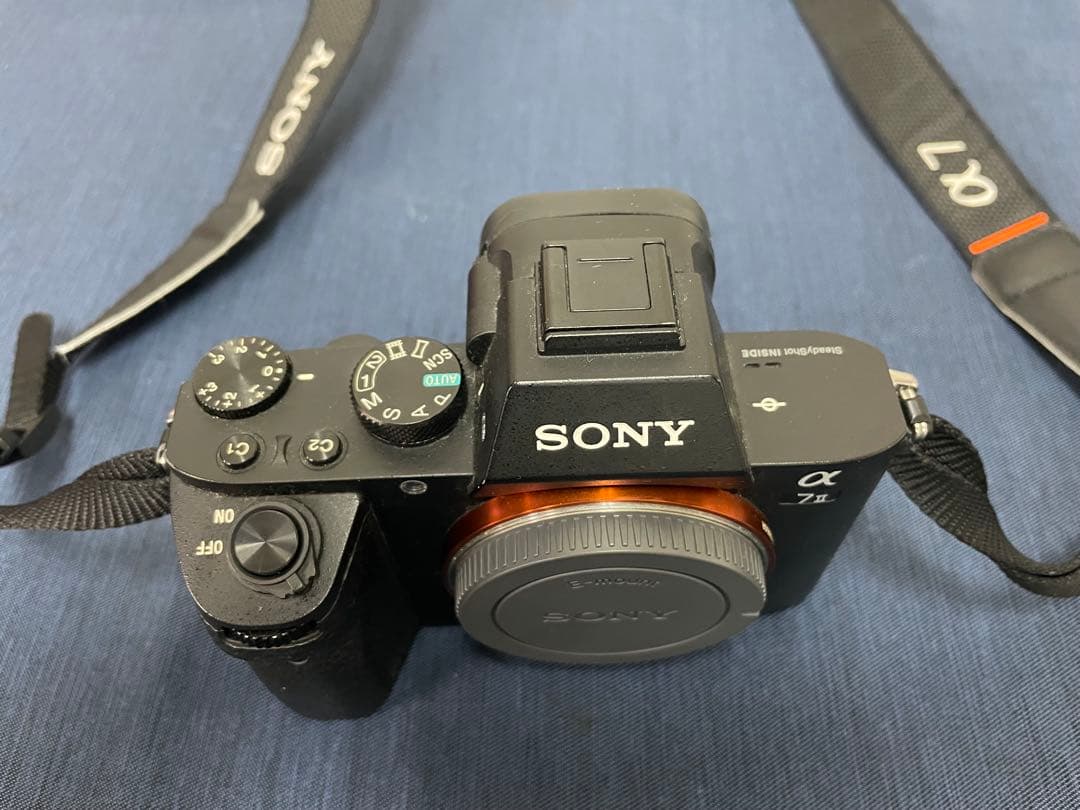 Sony Mirrorless Interchangeable Lens Cameras 7 Ii